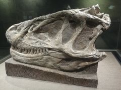 -自贡恐龙博物馆