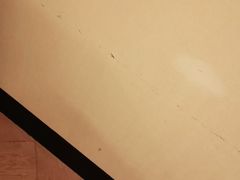 -成都安仁福朋喜来登酒店
