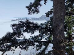 -华山风景名胜区