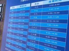 -奉贤海滩