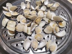 白贝-海大大蒸汽海鲜餐厅·粤菜·特色小炒(欢乐颂店)