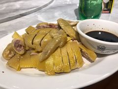 -天鹰观渔(梦园店)