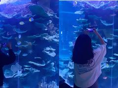 -左海海底世界