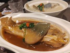 -肆月河豚·新淮扬(金融街店)
