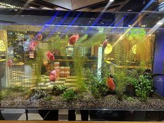 -合合大冷面(湖南店)