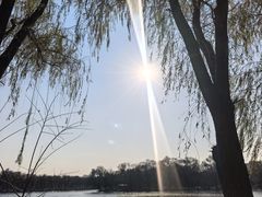 -北陵公园