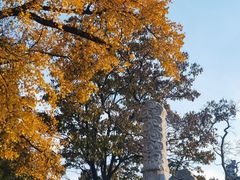 -苏州文庙(姑苏区)