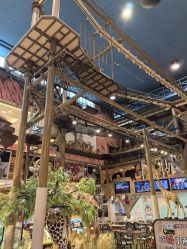 -卡通尼·Safari非洲探索乐园·生日会(金桥国际商业广场店)