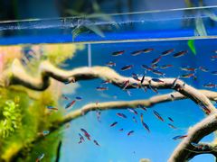 -沈阳海洋探索中心