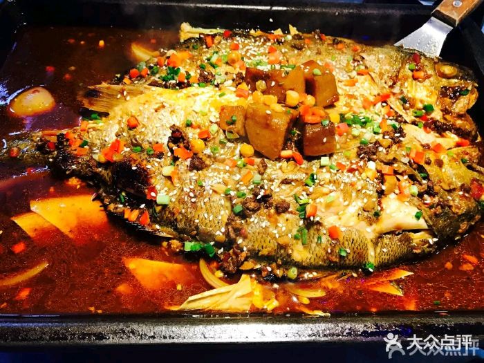 金牌炉鱼图片 - 第12张