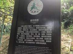 -大雁山风景区