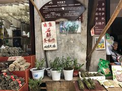 -尧坝古镇