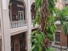 -香港大学