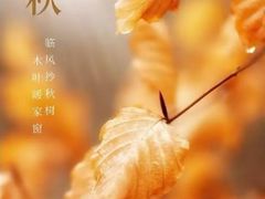 -自然之声助听器·呼吸机(和平店)