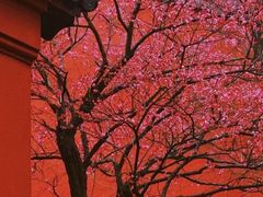 -广富林郊野公园