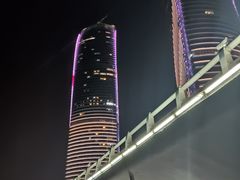 -演武大桥观景平台