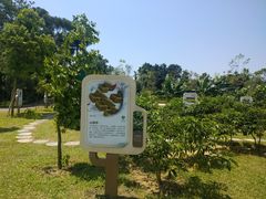 -中山市树木园