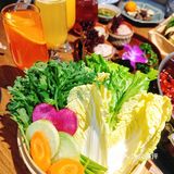 蘑锅菌菇鸡汤火锅 滋补养生鲜滋味！