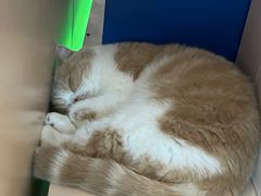 -茂业百货(东门店)