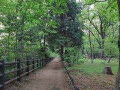 -三鹰之森吉卜力美术馆