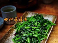 炝炒藤藤菜-同福社