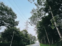 -福田红树林生态公园