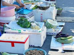 -东天目山风景区