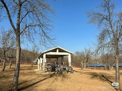 -石家庄市动物园