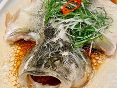 -天喜酒楼饭市·茶市(同德皇宫店)
