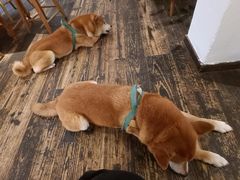 -三目仓咖啡(贤南路店)