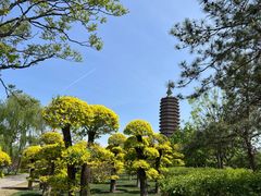 -西海子公园
