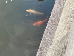 -村东第一家私房菜馆(古北水镇店)