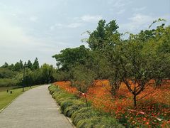 -上海吴淞炮台湾国家湿地公园