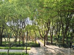 -新江湾城公园