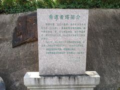 -上海佘山国家森林公园西佘山园