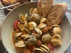 -Apollo·西班牙小酒馆(安福路店)