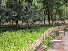 -丰台科技园生态主题公园