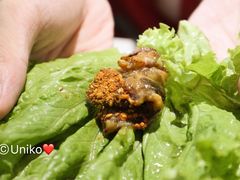 -韩宫宴烤肉·料理(宝山万达店)