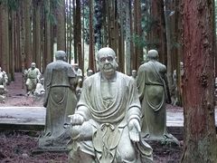 -武陵山森林公园