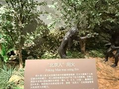 -北京周口店北京人遗址博物馆