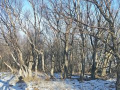 -阳台山自然风景区