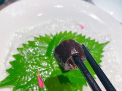 -觀芷隐轩