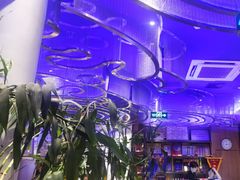 -老板恋上鱼(恒隆广场店)