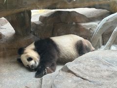 -宁波野生动物园