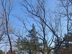 -棒棰岛宾馆景区
