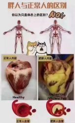 -香薇妮丝·定制减肥·身材管理