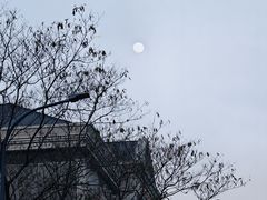 -连云港民主路老街