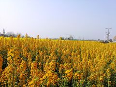 -中国天府农业博览园