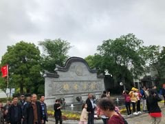 -野荸荠