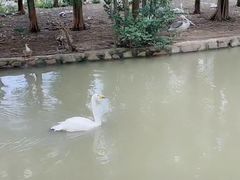 -野生动物园-停车场